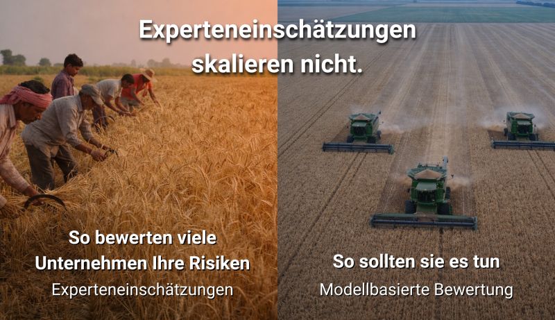 Bild anzeigen